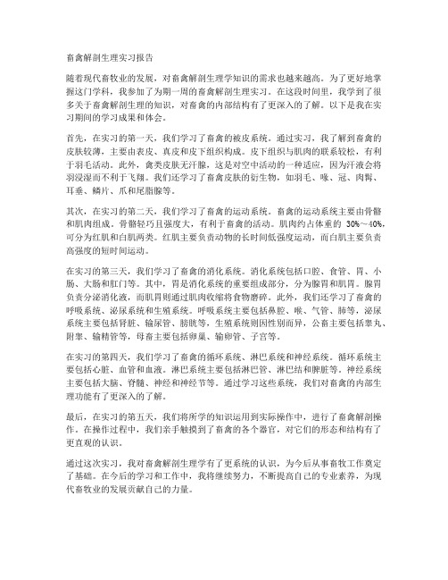 畜禽解剖生理实习报告