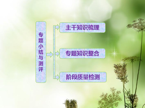 高中历史 专题二 古代中国的科学技术与文化专题小结与测评课件 人民版必修3