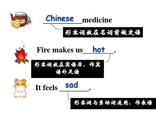 中考英语形容词与副词考点突破课件(共39张PPT)