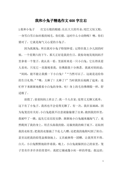 我和小兔子精选作文600字左右