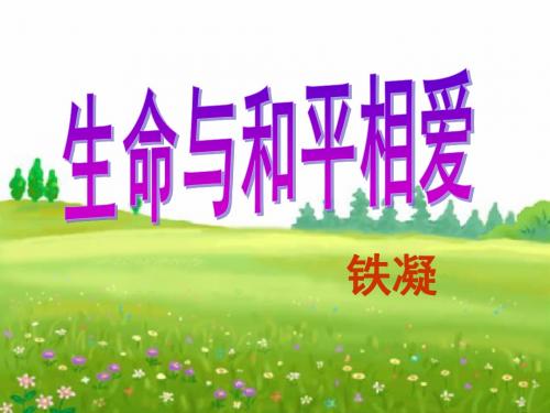 《生命与和平相爱》PPT课件