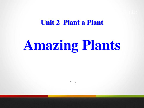 《Amazing Plants》Plant a Plant PPT课件