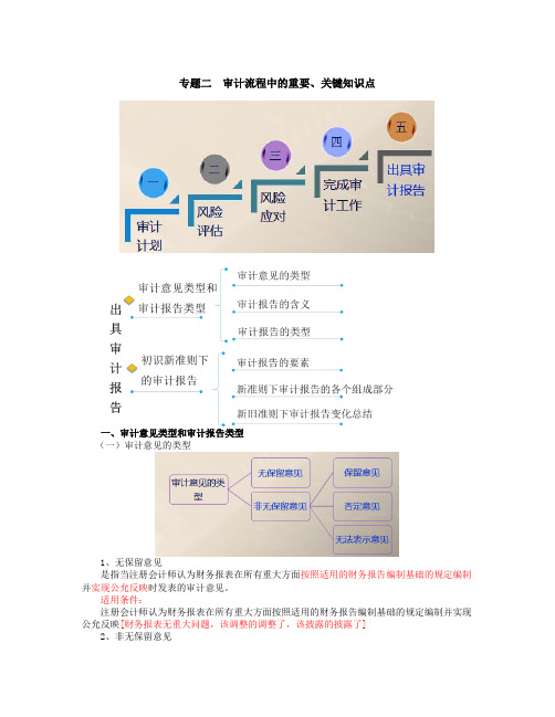 审计意见类型和审计报告类型