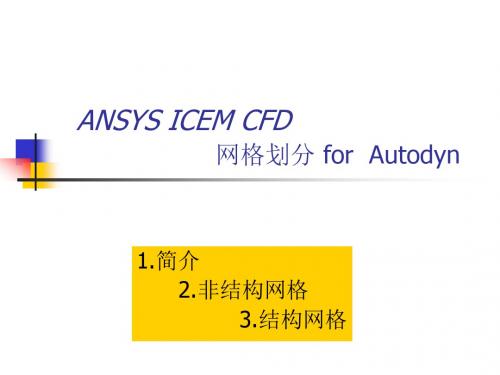 ANSYSICEMCFD六面体网格