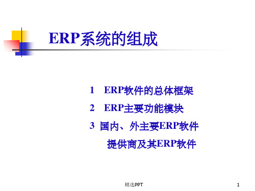 《ERP系统的组成》PPT课件