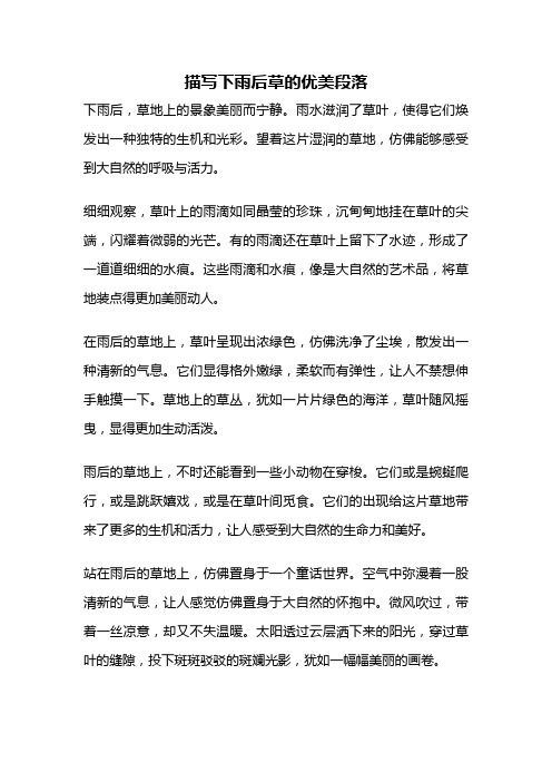 描写下雨后草的优美段落