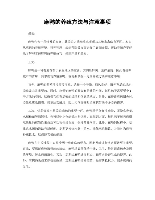 麻鸭的养殖方法与注意事项