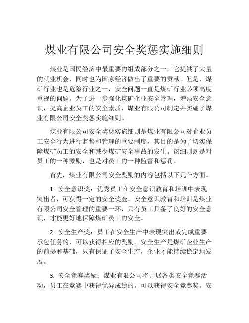 煤业有限公司安全奖惩实施细则