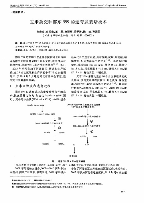 玉米杂交种邯东599的选育及栽培技术