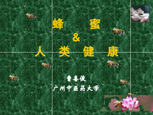 蜂蜜与人类健康