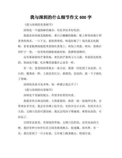 我与深圳的什么细节作文600字