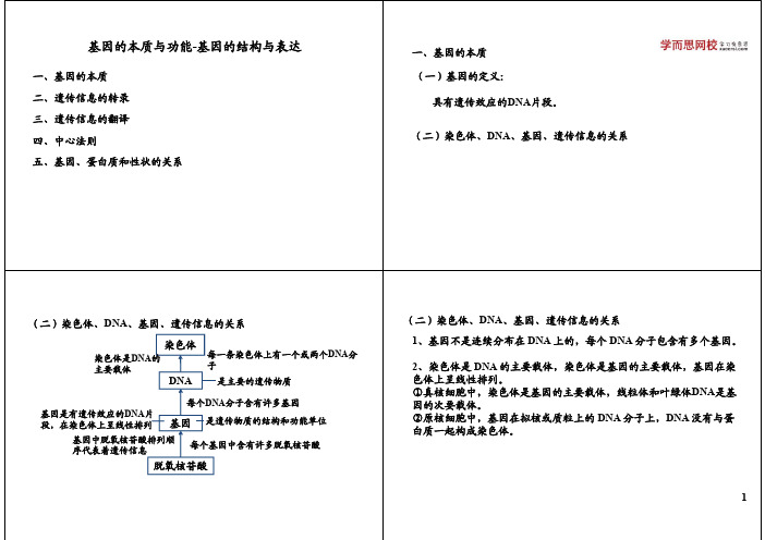 基因的本质与功能-基因的结构与表达(一轮上)