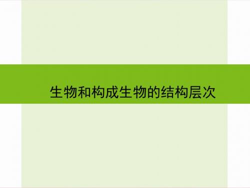 浙江省嘉兴市秀洲区中考科学复习生物和构成生物的结构层次课件浙教版