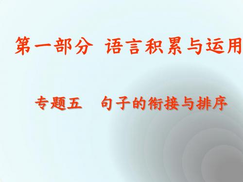 初中九年级语文复习：语言积累与运用 课 件(共14张PPT)