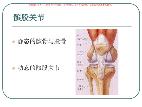 髌股关节生物力学讲解课件