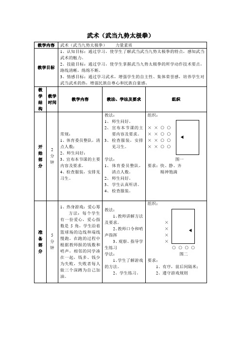 武术(武当九势太极拳)教案-高一上学期体育与健康人教版