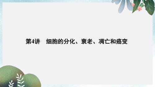 高考生物总复习第二部分选择题必考五大专题专题二细胞的增殖与分化第4讲细胞的分化衰老凋亡和癌变课件