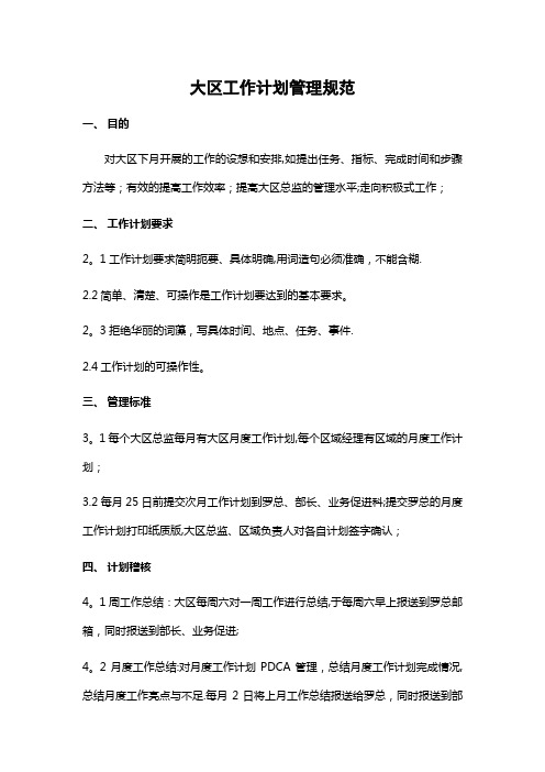 大区工作计划管理规范(修改)