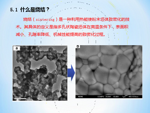 第五章 烧结1PPT课件