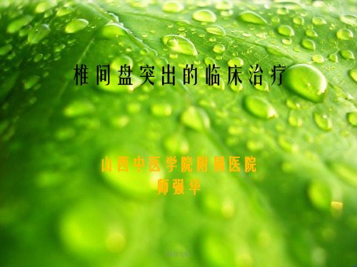 椎间盘突出的临床(师强华)幻灯片PPT