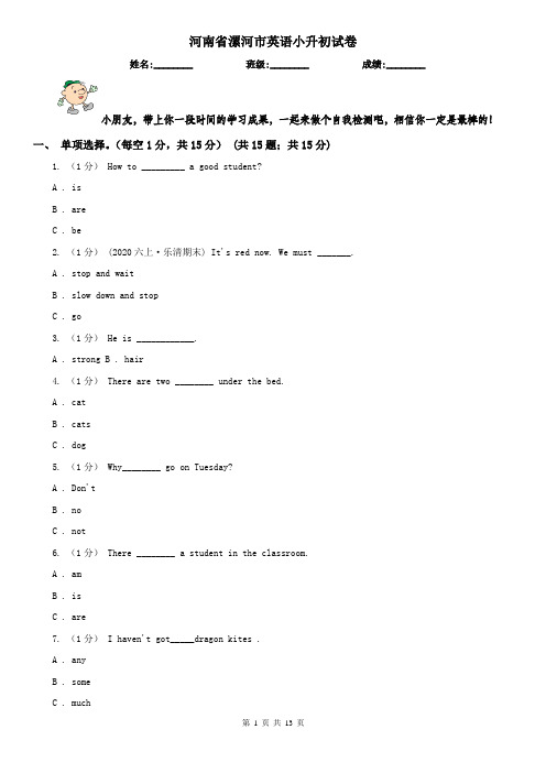 河南省漯河市英语小升初试卷