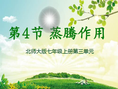 北师大2011课标版初中生物七年级上册第三单元第五章第4节 蒸腾作用