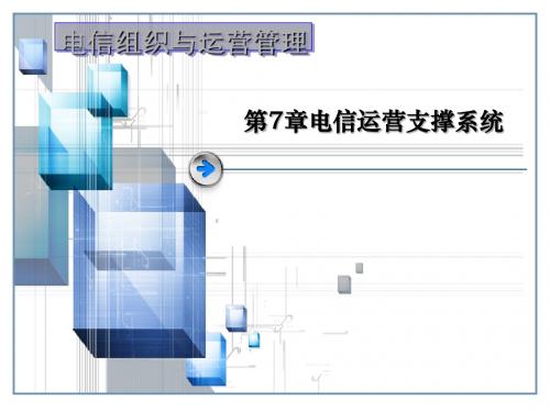 某公司组织与运营管理课件(PPT 61张)