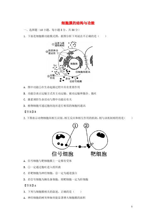 高考生物一轮复习知识点同步练习卷细胞膜的结构与功能新人教版