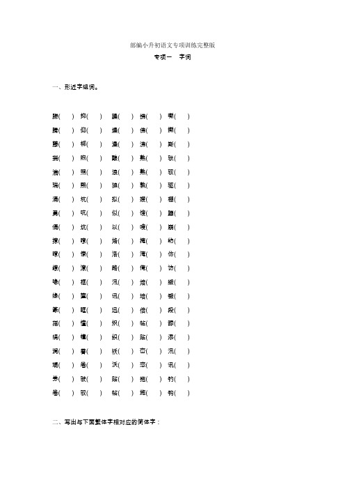 部编小升初语文专项训练完整版