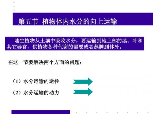 第二章  植物的水分代谢(5,6节)