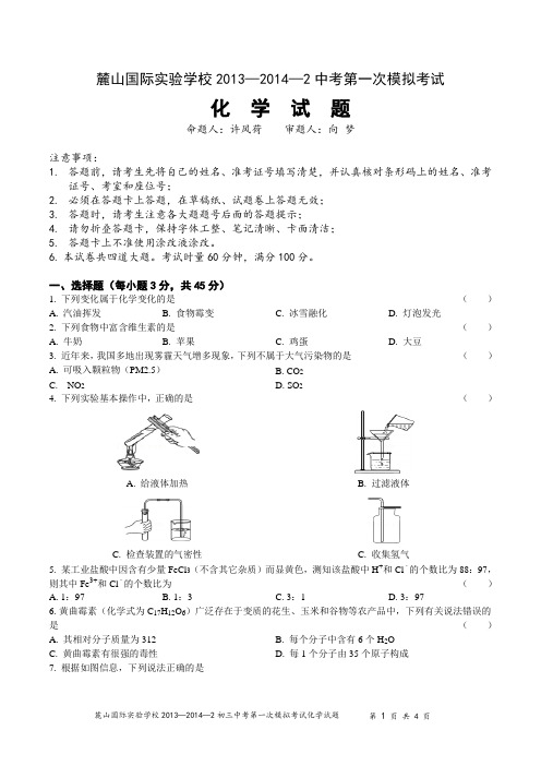 长沙市麓山国际实验学校中考第一次模拟考试化学试卷