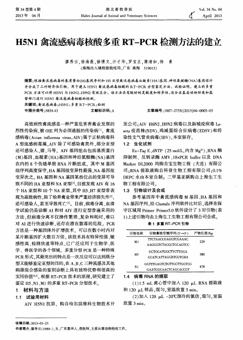 H5N1禽流感病毒核酸多重RT—PCR检测方法的建立