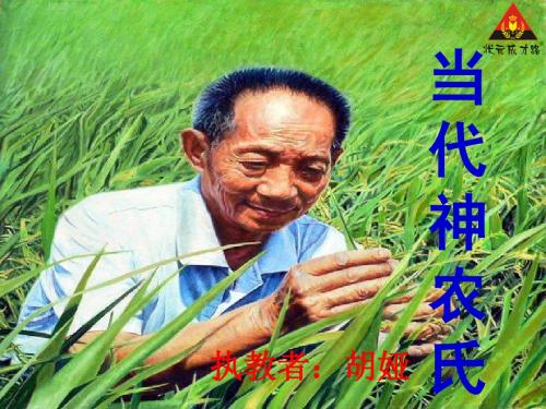 当代神农氏 第二课时