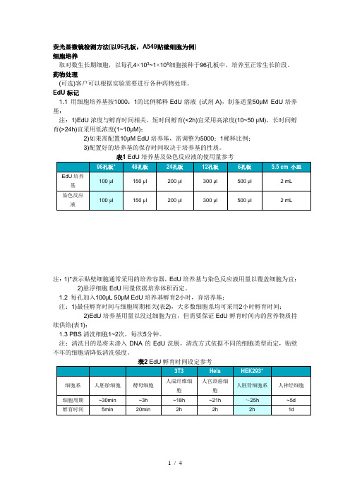 EDU-细胞增殖检测