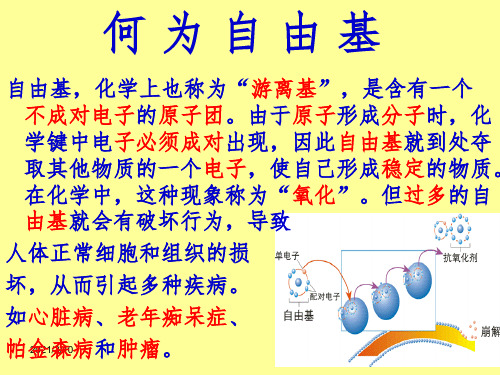 自由基是怎么产生的课件PPT