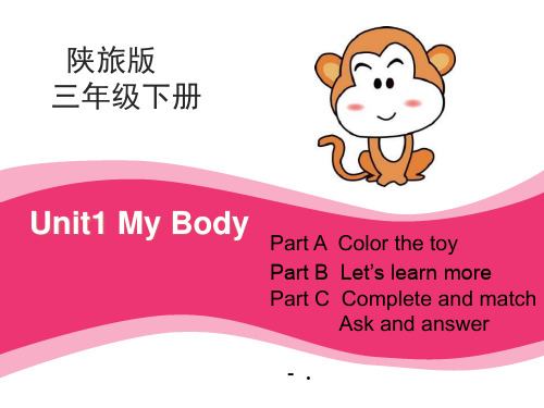 《My Body》PPT课件