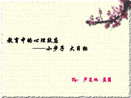 教育中的心里效应——连锁效应