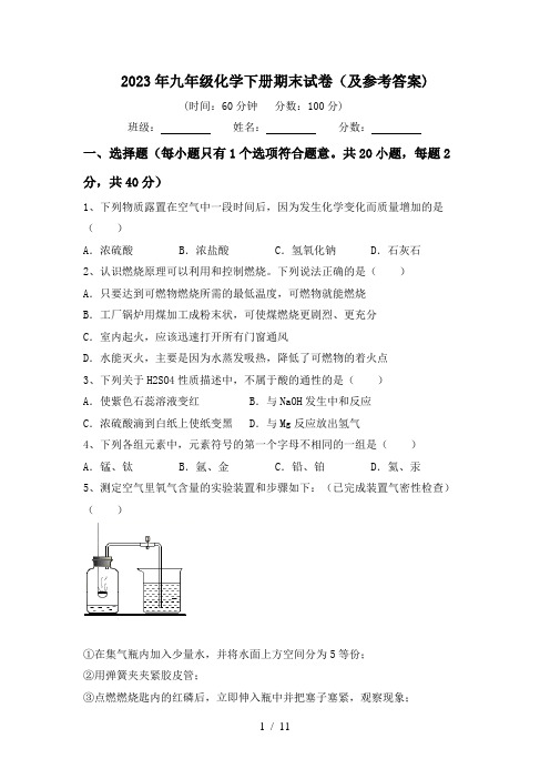 2023年九年级化学下册期末试卷(及参考答案)