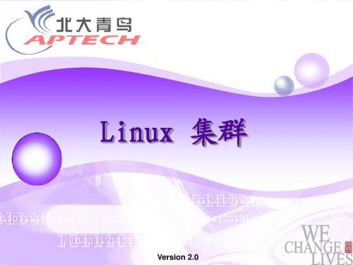 Linux 集群技术