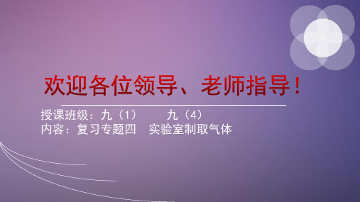 【人教版】九年级化学专题复习： 实验室制取气体(共12张PPT)