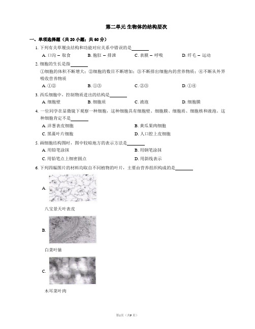 2020-2021学年人教版七上生物期末综合练习附答案第二单元 生物体的结构层次