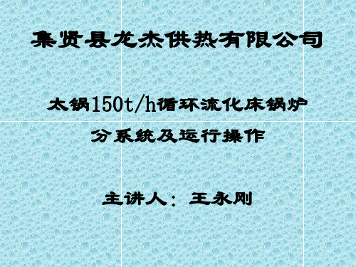 CFB锅炉课件20除渣系统