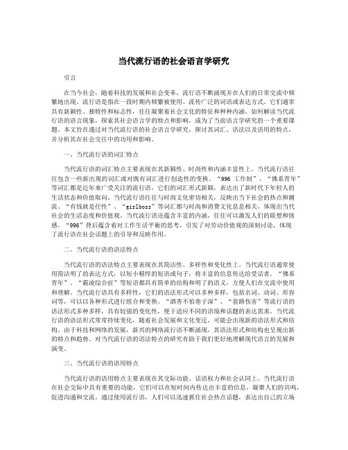 当代流行语的社会语言学研究