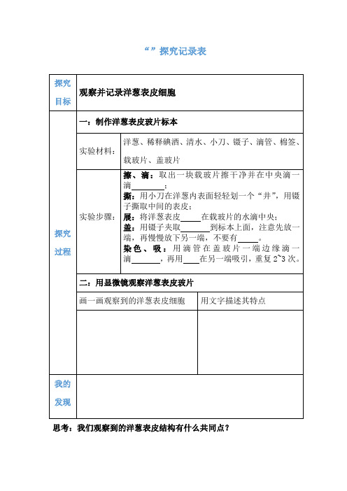 观察洋葱表皮细胞”探究记录表