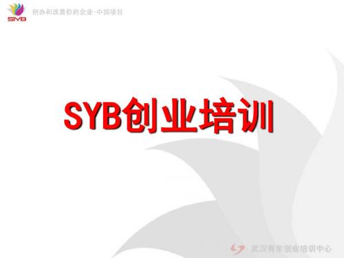 SYB第一步到十步课件