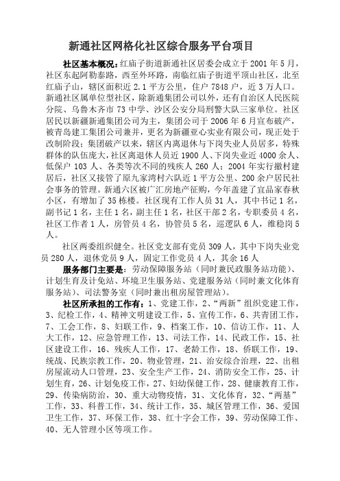 新通社区网格化社区综合服务平台项目策划书