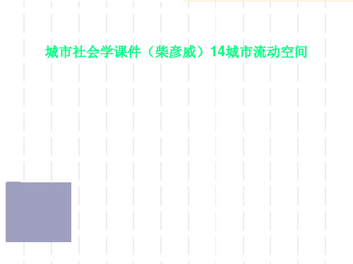 城市社会学课件(柴彦威)14城市流动空间