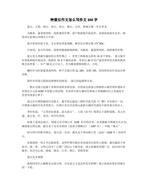 种蚕豆作文怎么写作文400字