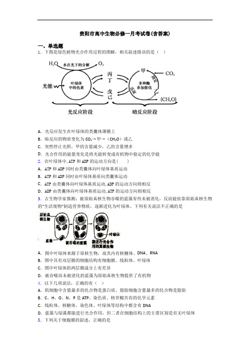 贵阳市高中生物必修一月考试卷(含答案)