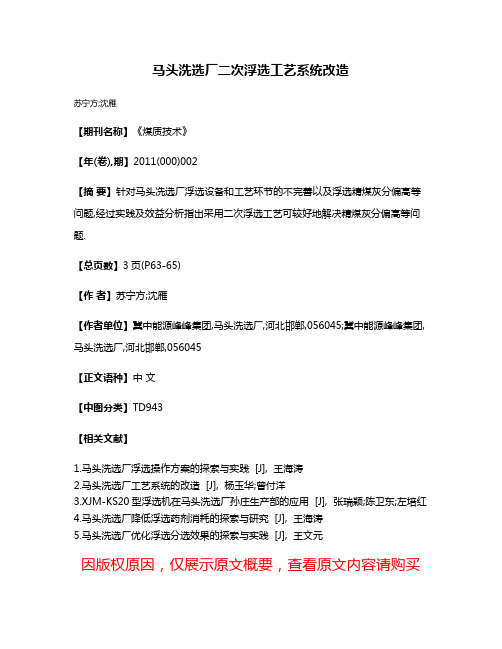 马头洗选厂二次浮选工艺系统改造